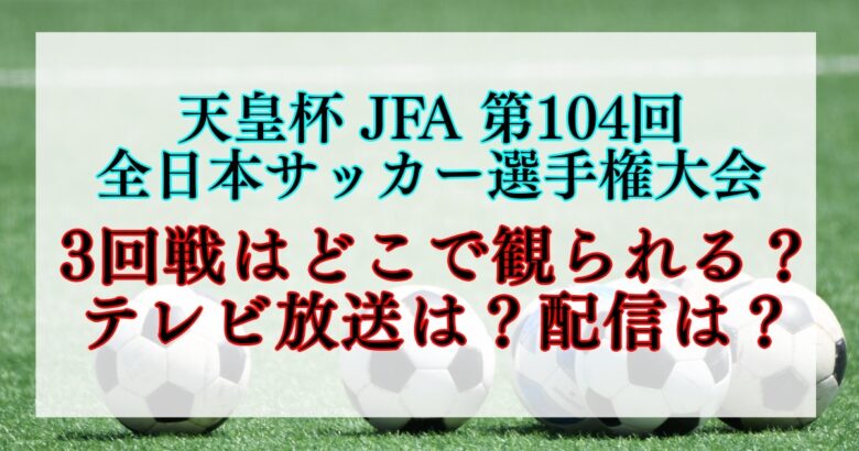 サッカー天皇杯3回戦、どこで観られる？テレビ放送は？配信は？